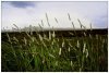 6/islande 14 (Small).jpg